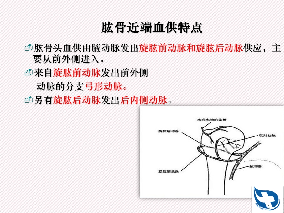 肱骨近端骨折分型及治疗课件.ppt_第3页