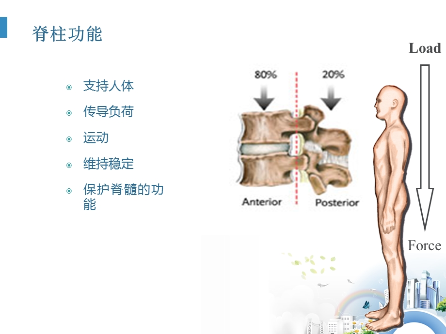 颈肩腰腿痛的预防及治疗【骨科】课件.ppt_第2页