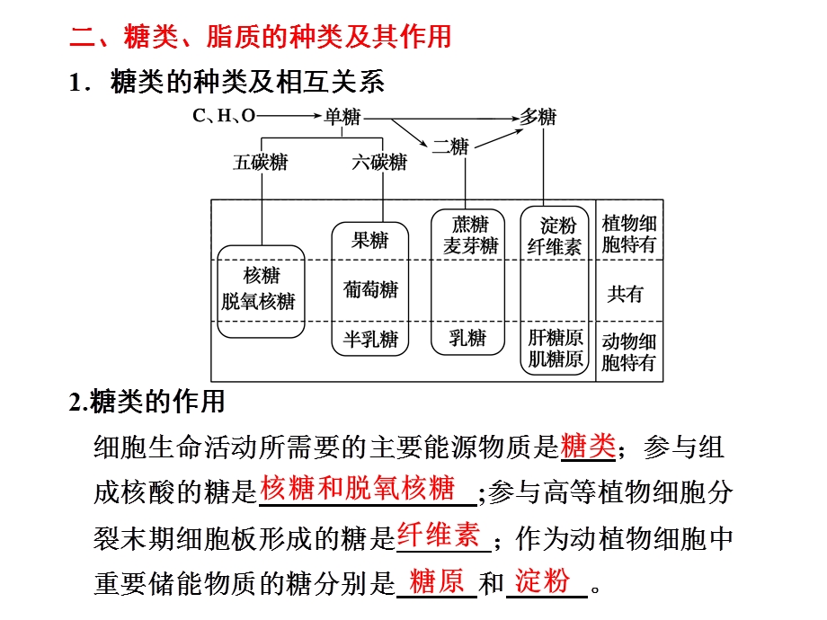 细胞的分子组成会考复习课件.ppt_第3页