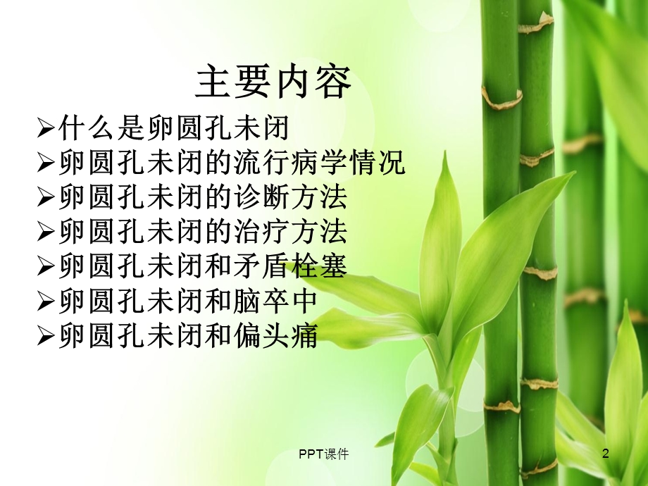 卵圆孔未闭课件.ppt_第2页