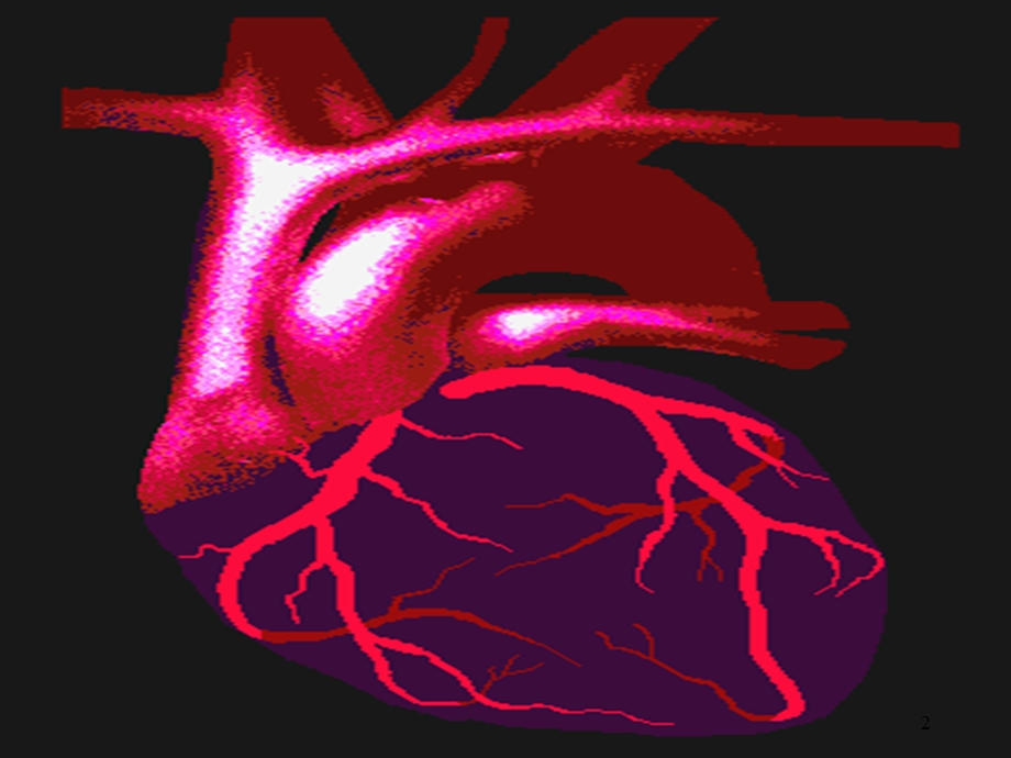 心绞痛与急性心肌梗死的识别精品课件.pptx_第2页