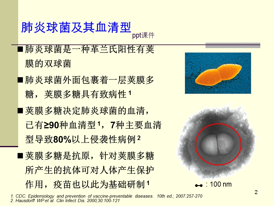 肺炎球菌流行病学及预防课件.ppt_第2页