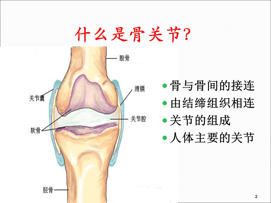 骨关节炎的那些事健康知识讲座课件.ppt_第2页