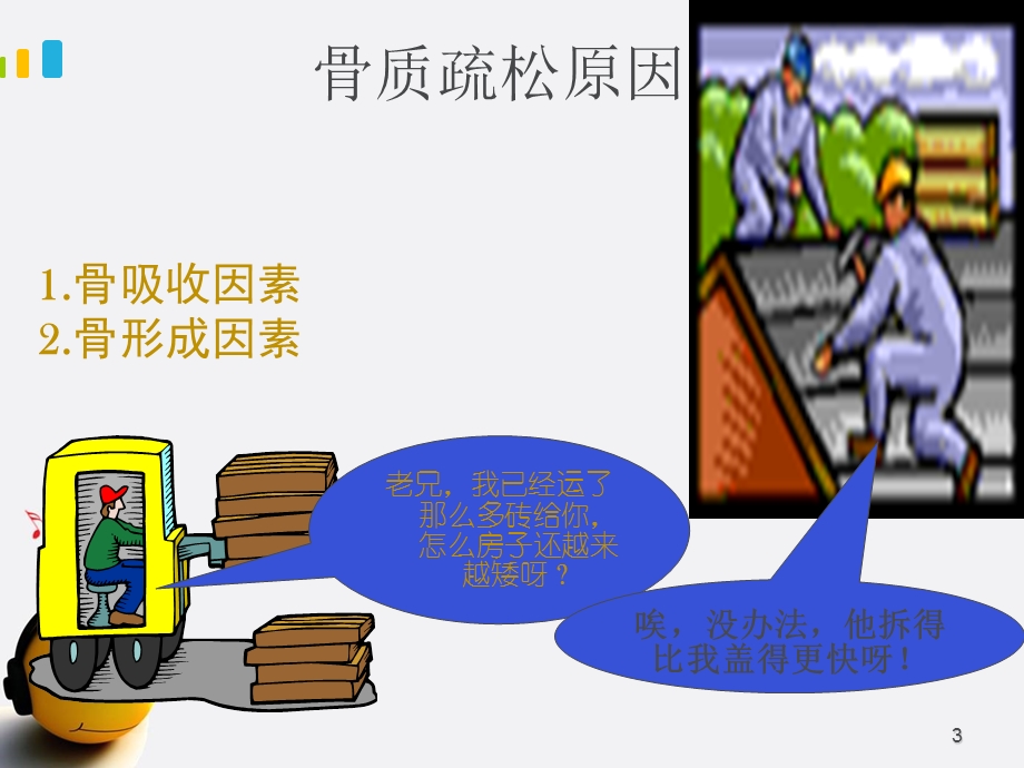 骨质疏松症课件.ppt_第3页