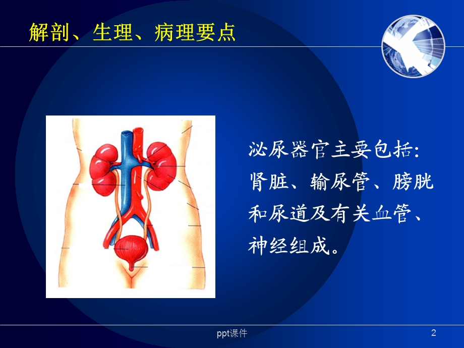 肾内科相关基础知识课件.ppt_第2页