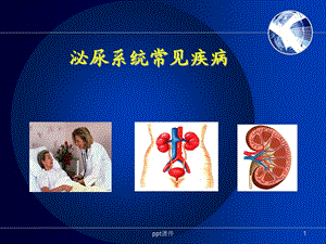 肾内科相关基础知识课件.ppt