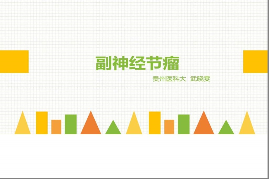 副神经节瘤课件.ppt_第1页