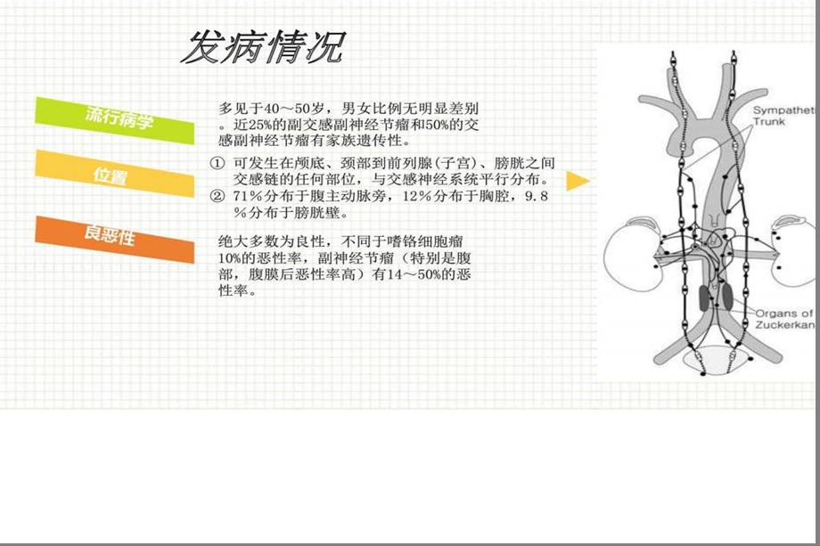 副神经节瘤课件.ppt_第3页