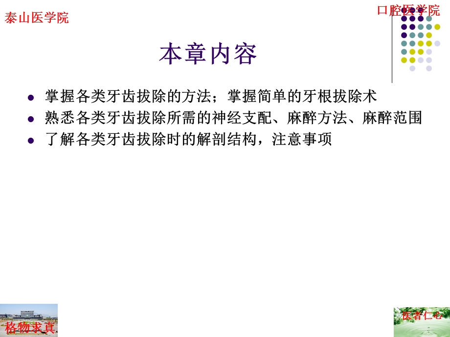 各类牙齿的拔除及牙根拔除术课件.ppt_第2页