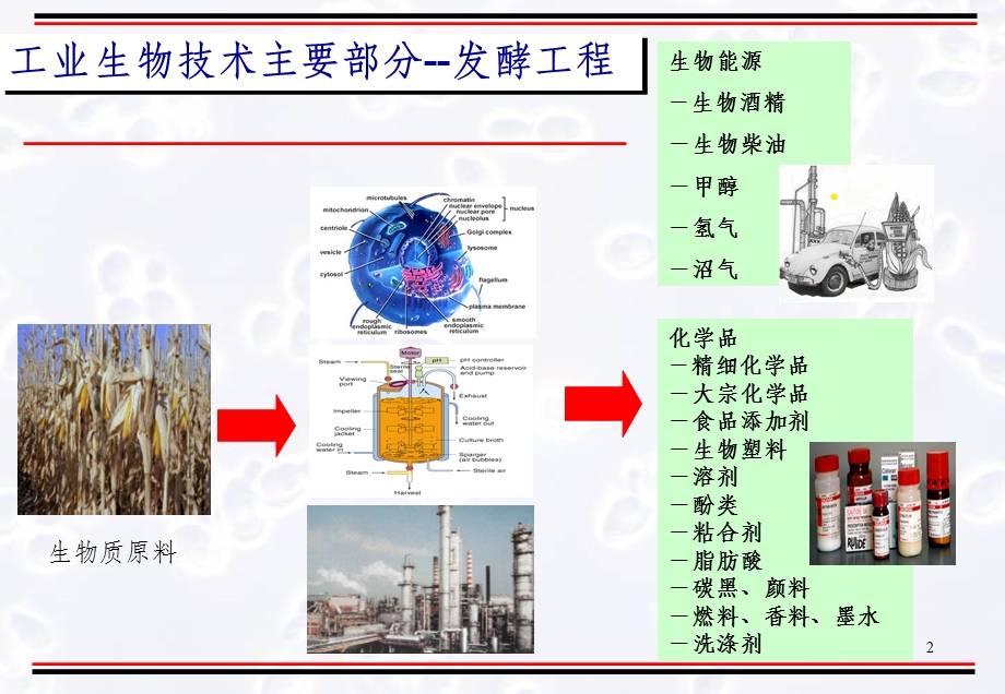 发酵过程优化与控制技术研究课件.ppt_第2页