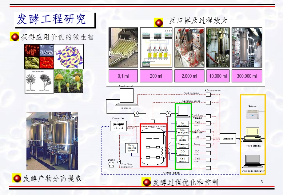 发酵过程优化与控制技术研究课件.ppt_第3页