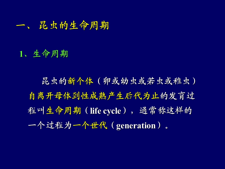 昆虫的生活史课件.ppt_第3页