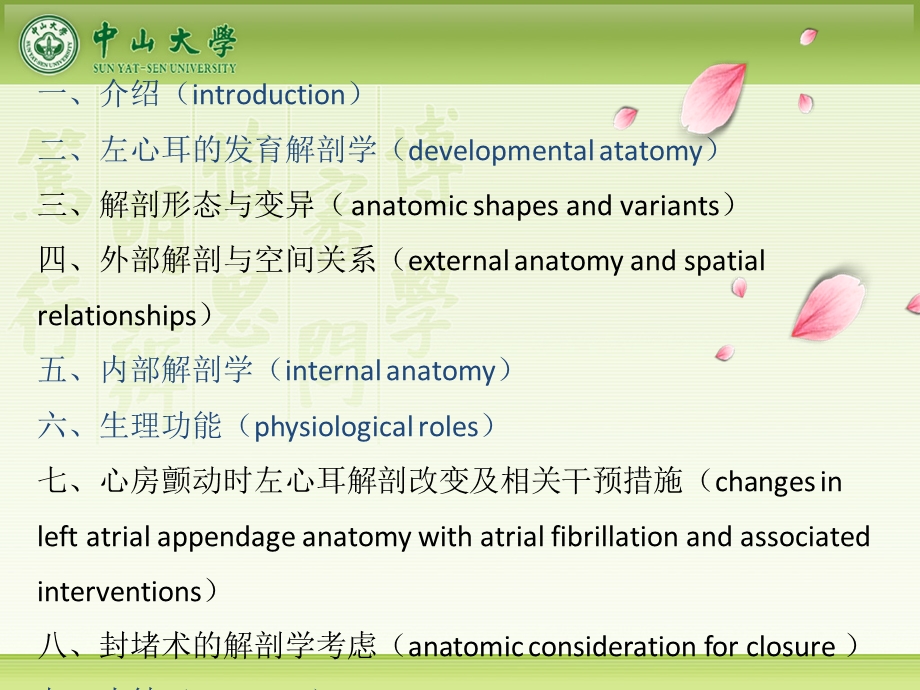 左心耳功能解剖课件.pptx_第2页