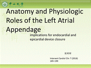 左心耳功能解剖课件.pptx