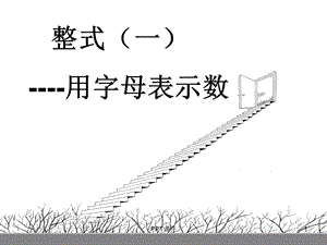 整式(用字母表示数)课件.ppt