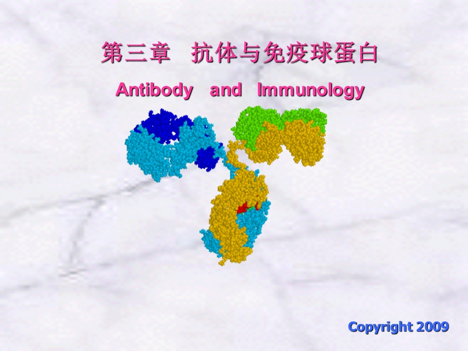 抗体与免疫球蛋白课件.ppt_第1页