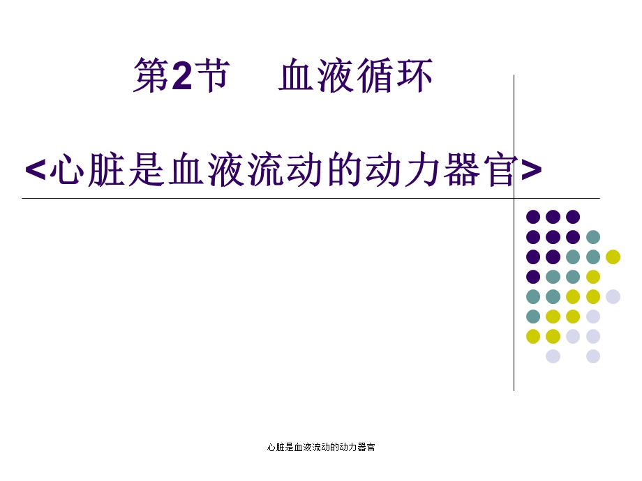 心脏是血液流动的动力器官 课件.ppt_第2页