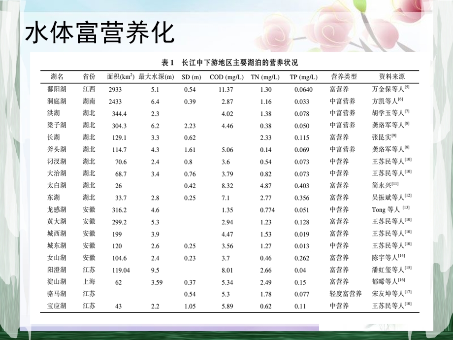 水体富营养化 课件.ppt_第3页