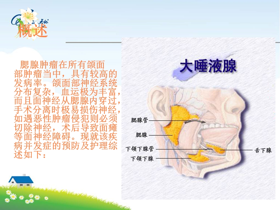 腮腺肿瘤护理查房课件.ppt_第3页