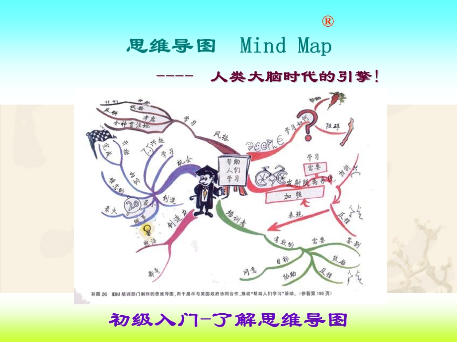 小学生思维导图训练 课件.ppt_第1页