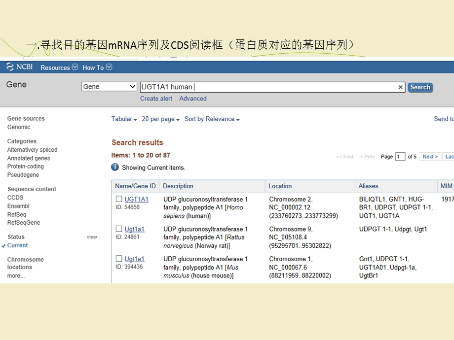 质粒目的基因插入及引物设计流程课件.ppt_第1页