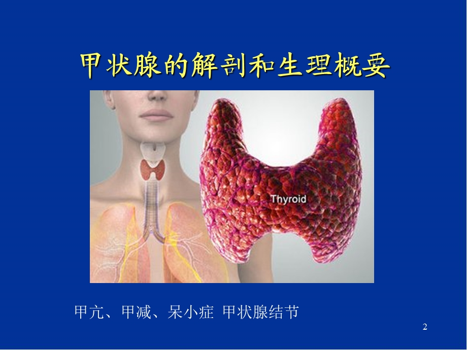 科普 甲状腺结节精品课件.pptx_第2页