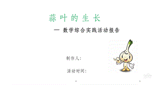 蒜叶的生长(数学实践活动)课件.ppt