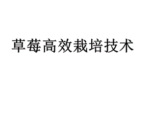 草莓高效栽培技术 课件.ppt