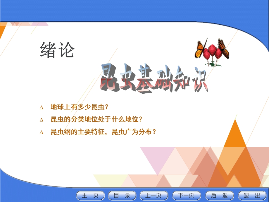 森林昆虫学(复习资料)课件.ppt_第2页