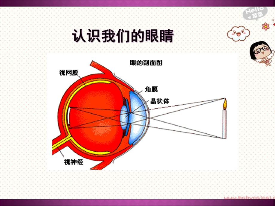 小学用眼卫生与健康教育课件.ppt_第3页