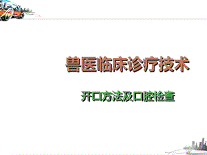 兽医临床诊疗技术开口方法及口腔检查课件.ppt