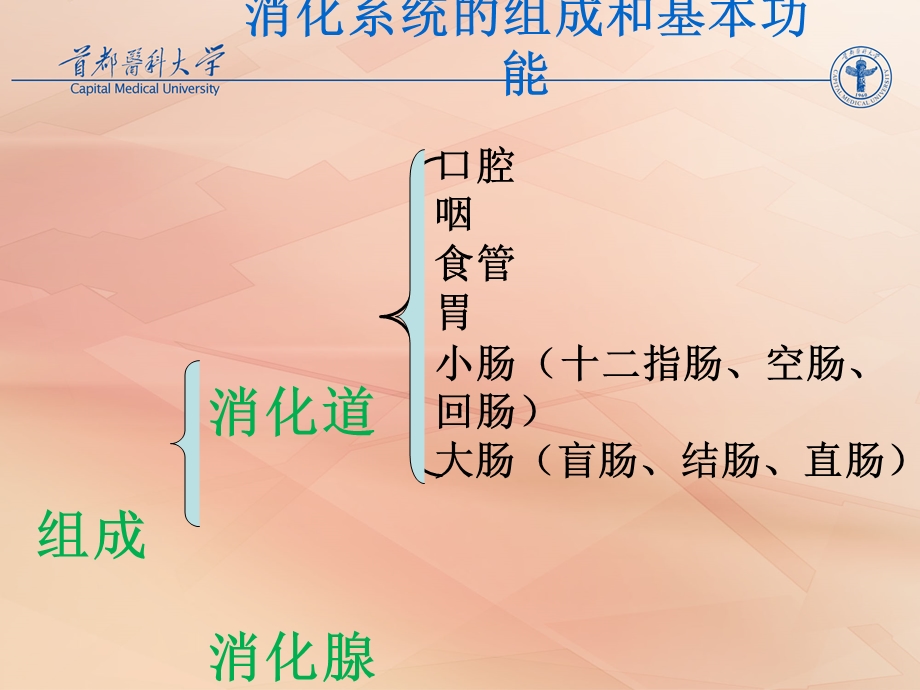 消化系统疾病专题讲座课件.ppt_第2页