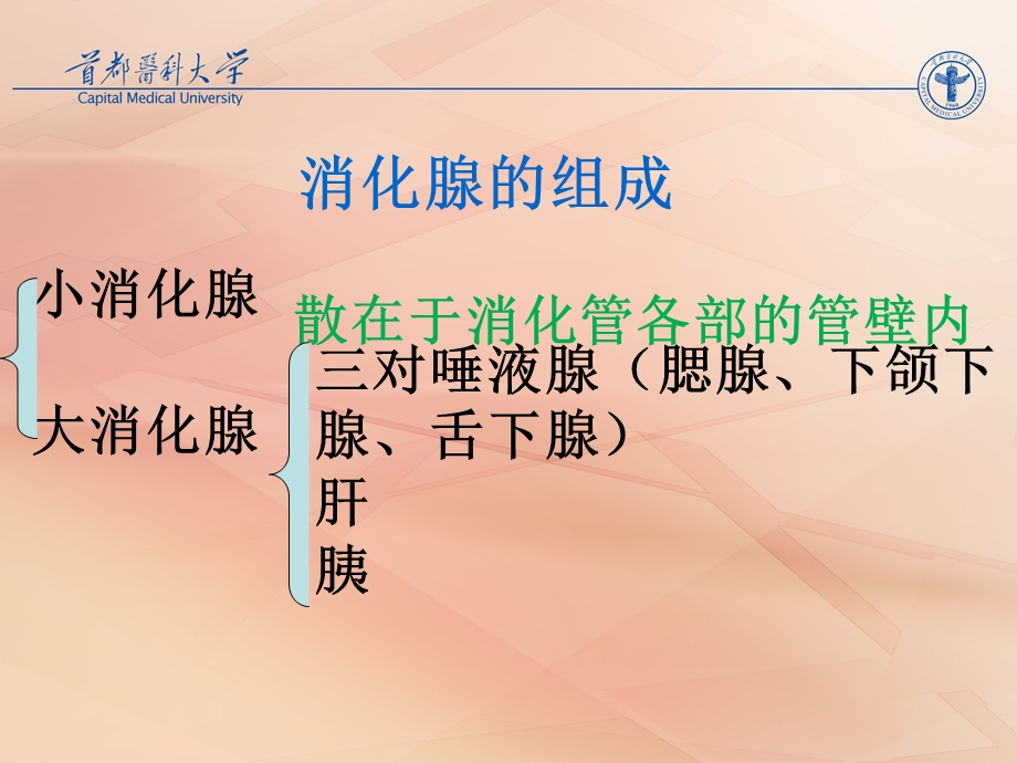 消化系统疾病专题讲座课件.ppt_第3页