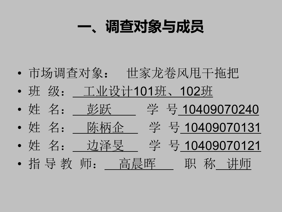 拖把市场调查报告课件.ppt_第3页