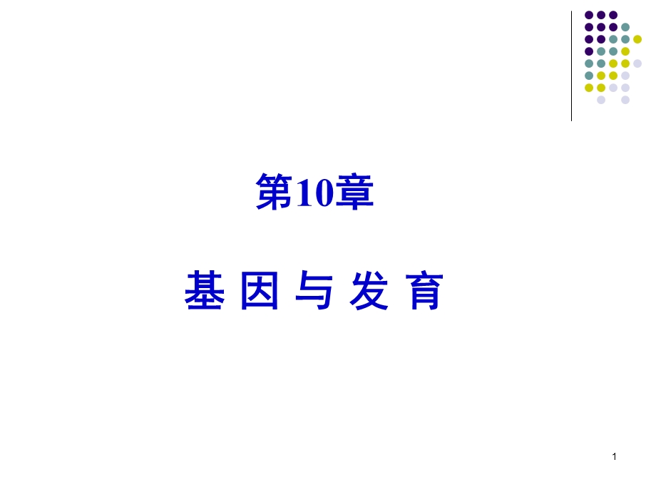 第10章 基因与发育课件.ppt_第1页