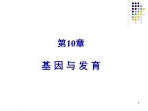 第10章 基因与发育课件.ppt