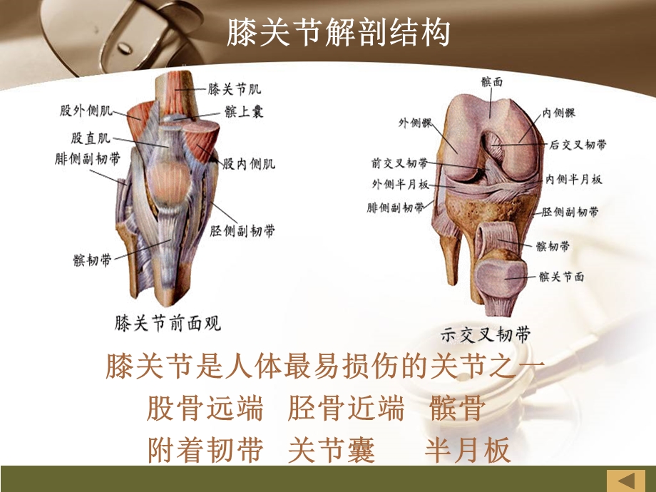 人工膝关节置换术围手术期护理课件.ppt_第3页