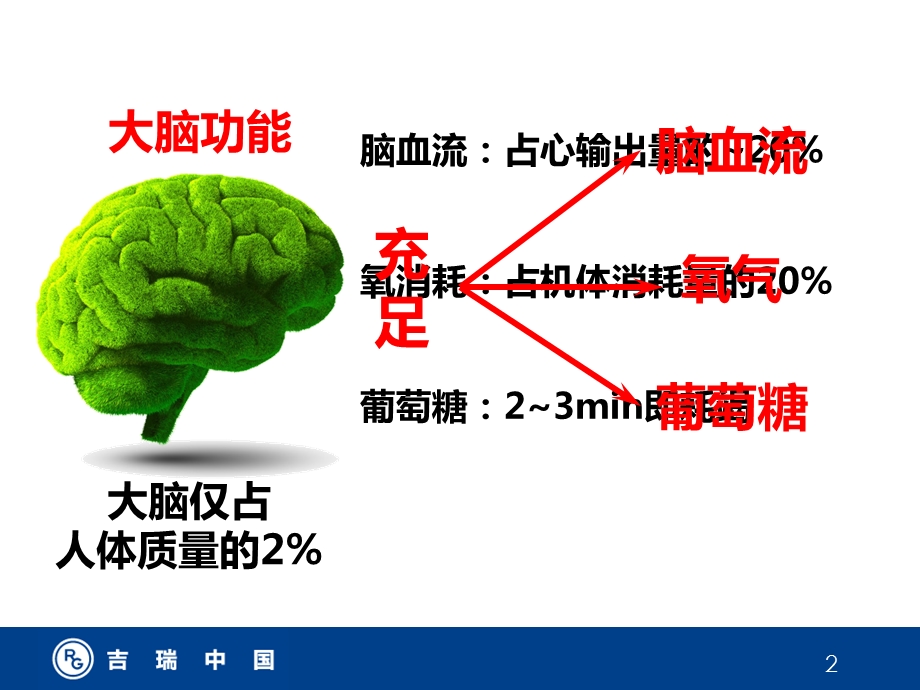 挽救缺血半暗带 课件.ppt_第2页