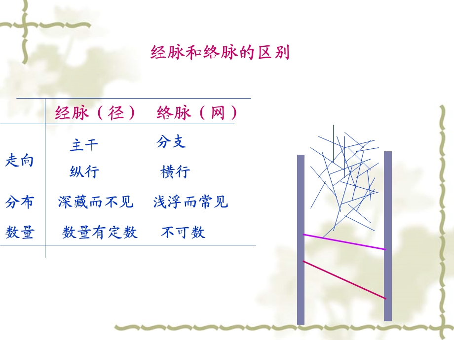 经络腧穴概述课件.ppt_第3页