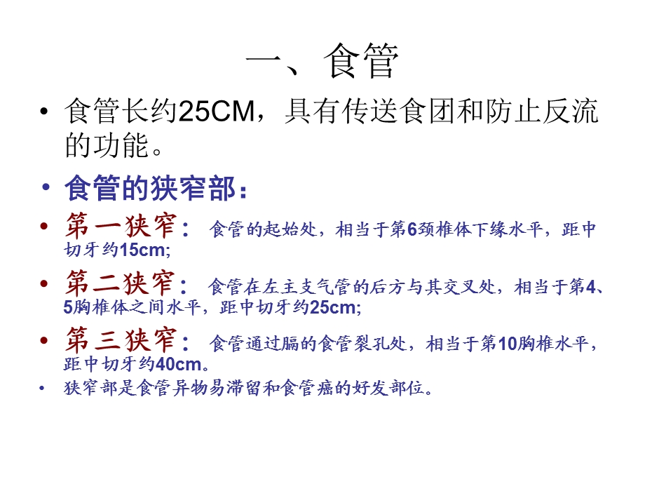 消化系统评估 课件.ppt_第3页