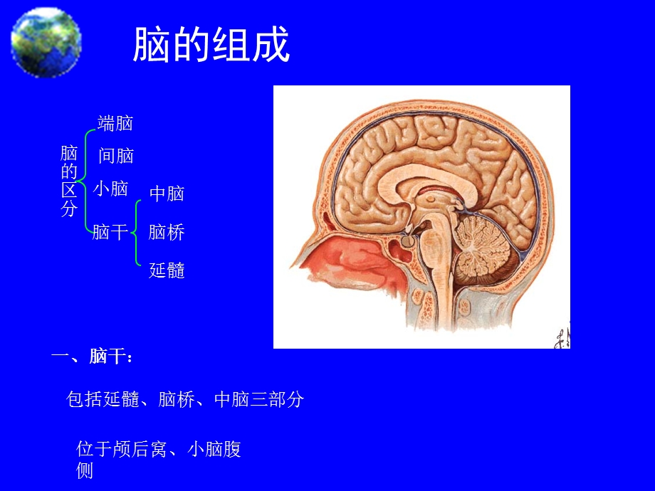 脑干损害的定位诊断 课件.ppt_第2页