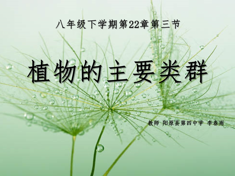 第3节植物的主要类群课件.ppt_第1页