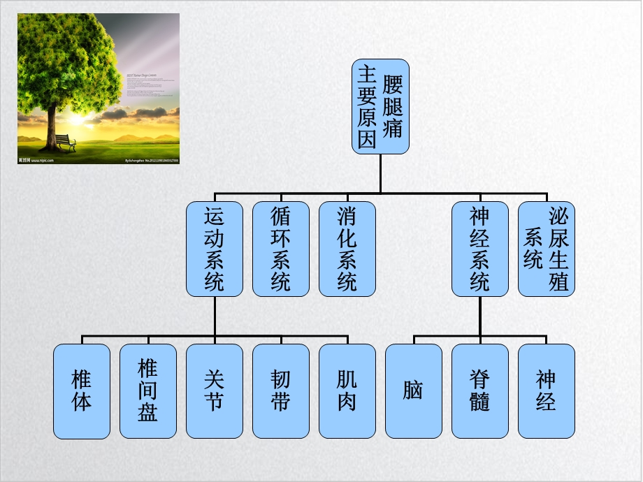 腰椎间盘突出症鉴别诊断示范ppt课件.ppt_第3页