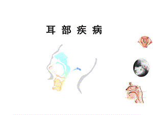 耳部疾病ppt课件.ppt