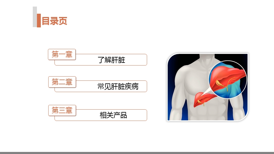 脂肪肝肝囊肿课件.ppt_第2页