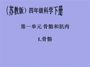 苏教版小学四年级下册科学ppt课件(全册).pptx