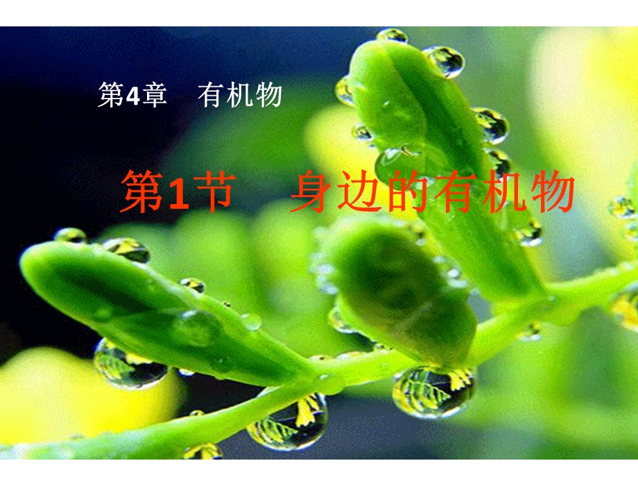 第一节身边的有机物课件.ppt_第3页