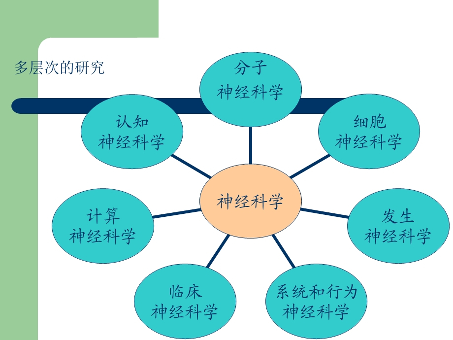 脑科学研究的方法课件.ppt_第2页