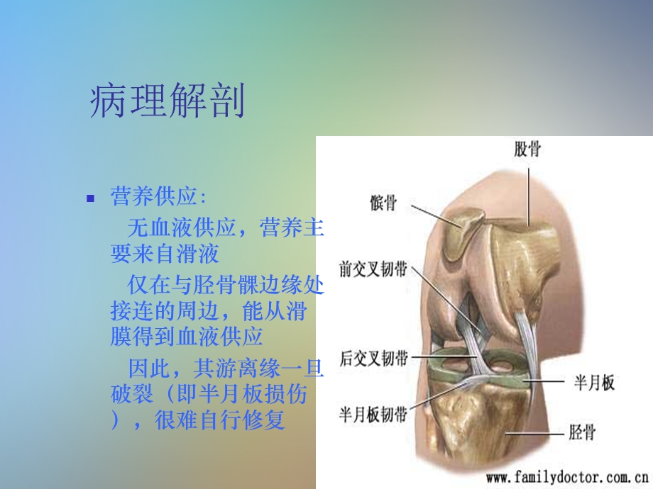 膝关节半月板损伤课件.pptx_第3页