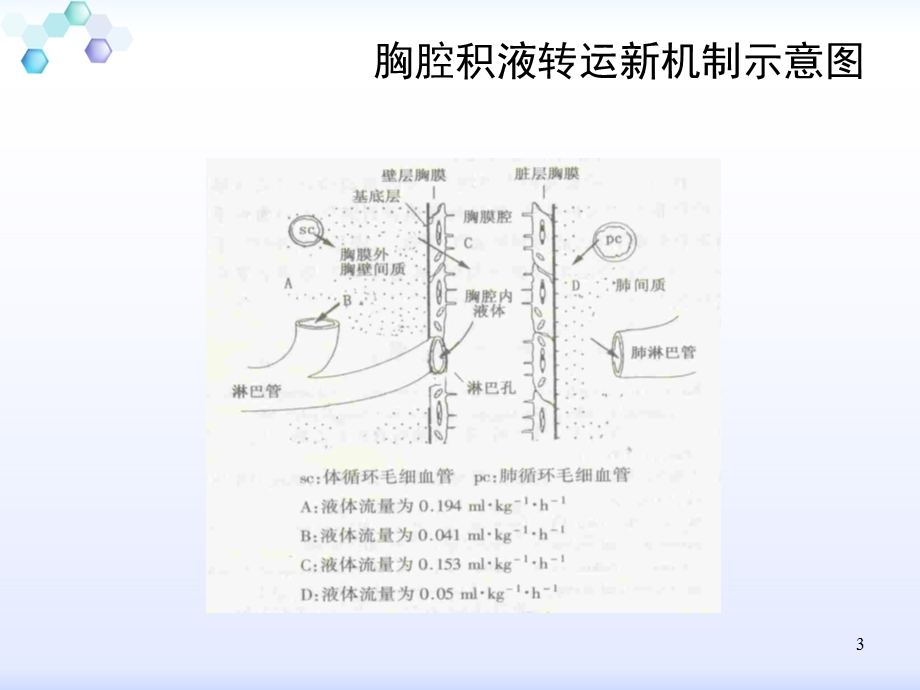 胸腔积液鉴别诊断 课件.ppt_第3页